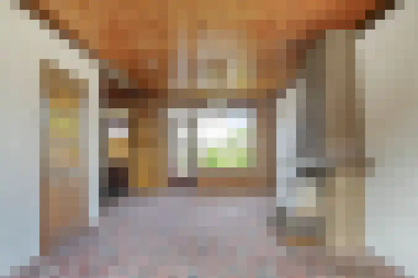 Cort van der Lindenstraat 47 Gouda foto 2