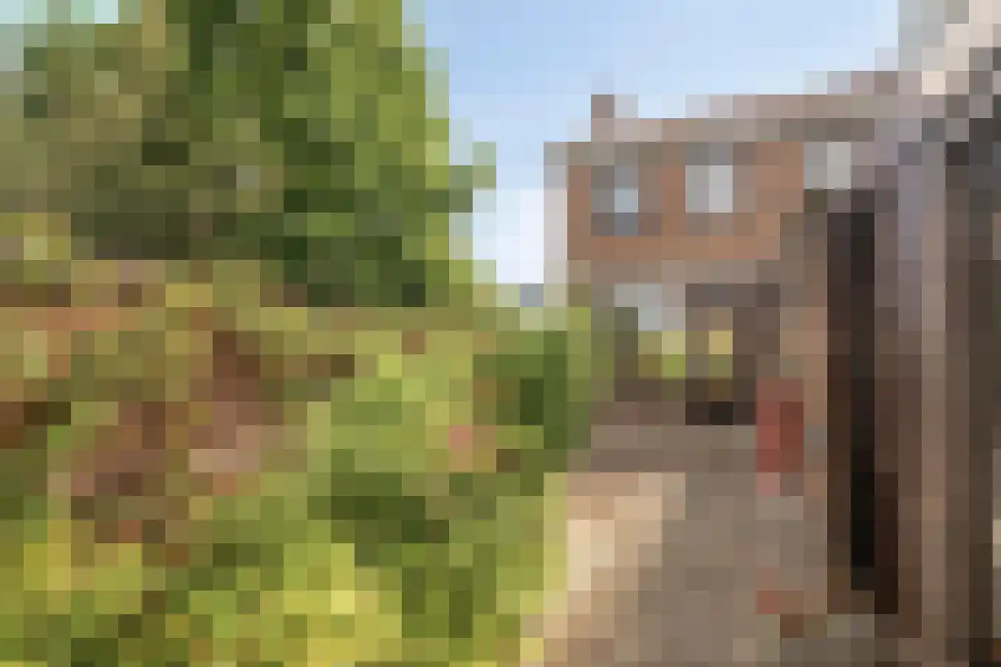 Cort van der Lindenstraat 47 Gouda thumbnail 33