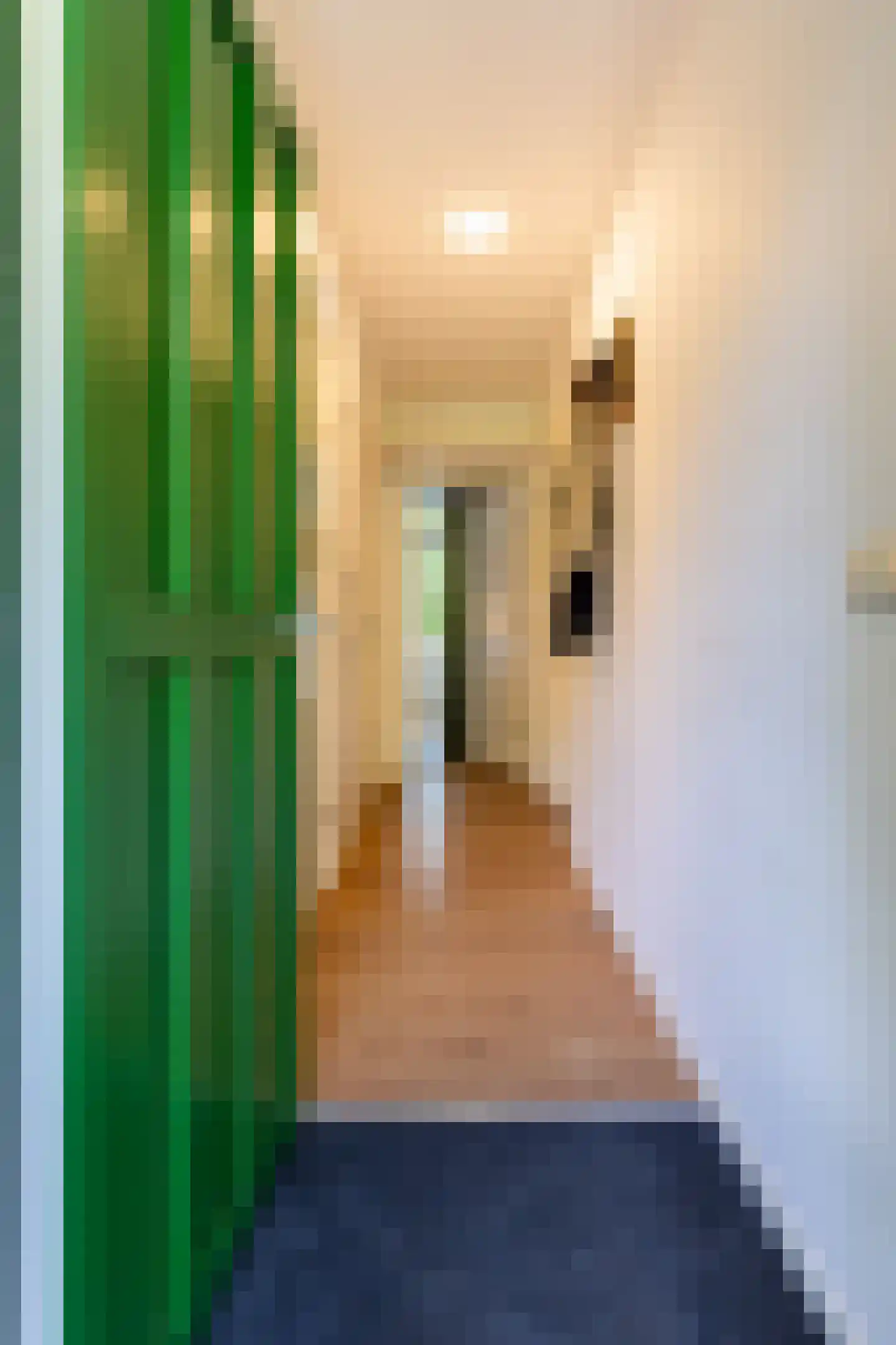 Cort van der Lindenstraat 48 Apeldoorn thumbnail 19