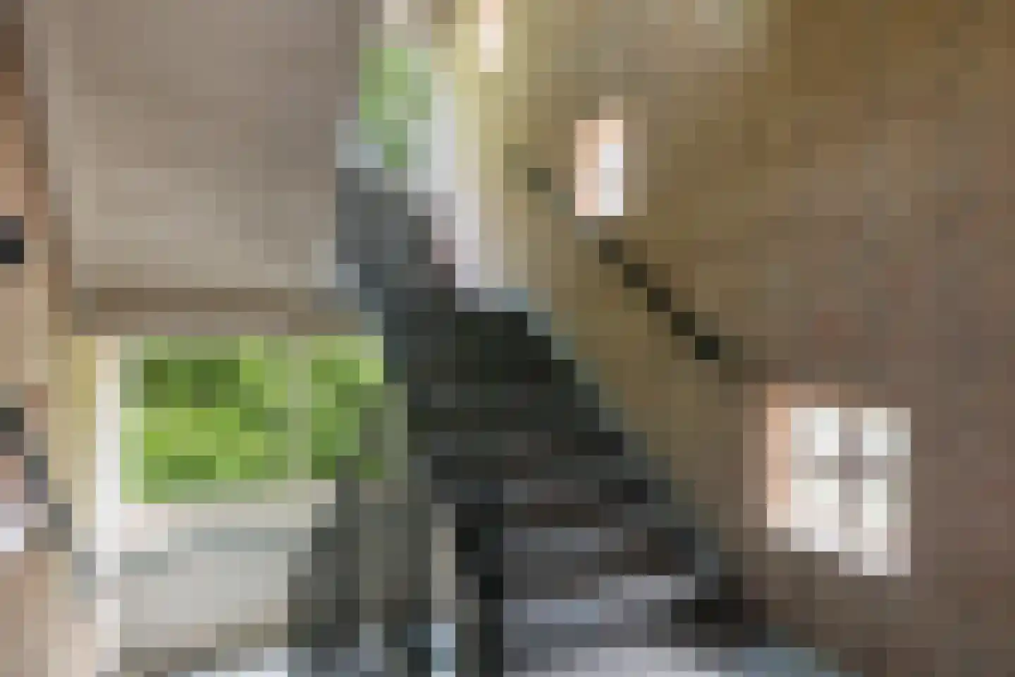 Cort van der Lindenstraat 48 Apeldoorn thumbnail 23