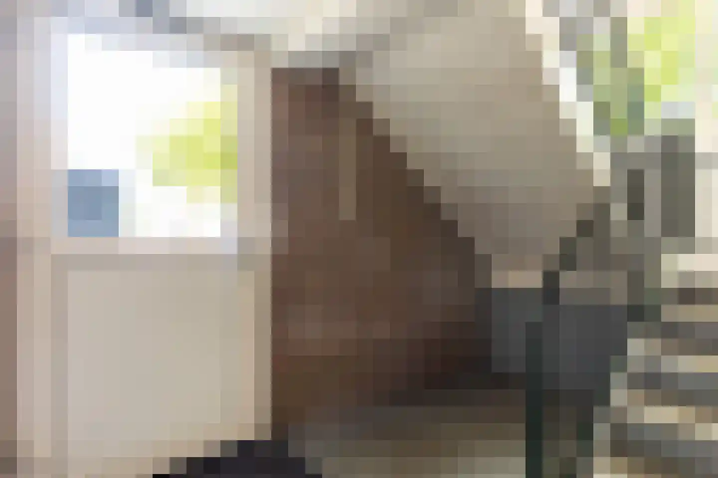 Cort van der Lindenstraat 48 Apeldoorn thumbnail 24