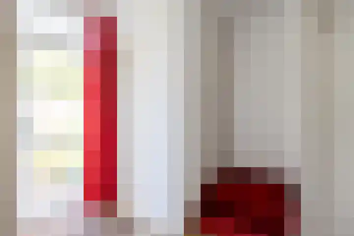 Cort van der Lindenstraat 5 Assen thumbnail 13