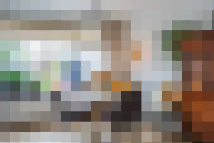 Cort van der Lindenstraat 5 Assen thumbnail 19