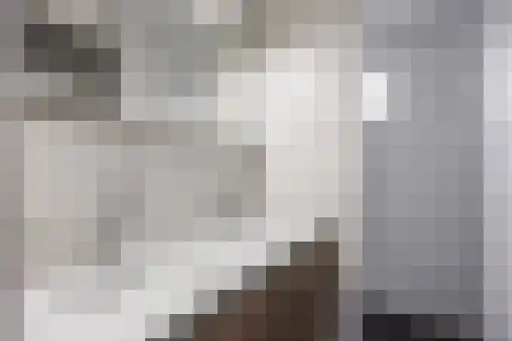 Cort van der Lindenstraat 5 Assen thumbnail 44