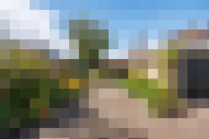 Cort van der Lindenstraat 5 Assen thumbnail 52