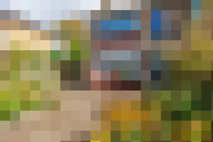 Cort van der Lindenstraat 5 Assen thumbnail 55