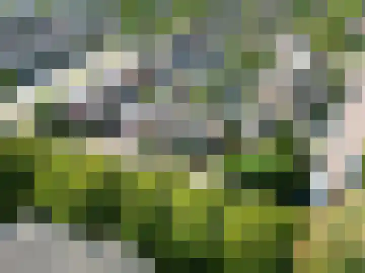 Cort van der Lindenstraat 5 Assen thumbnail 58