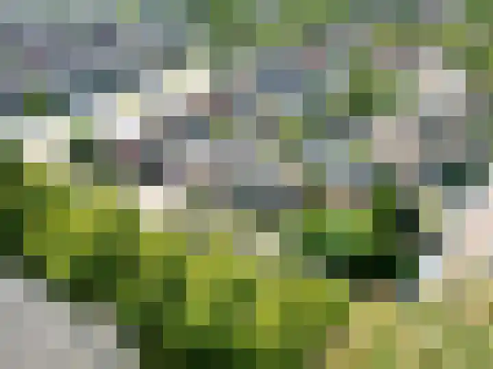 Cort van der Lindenstraat 5 Assen thumbnail 59