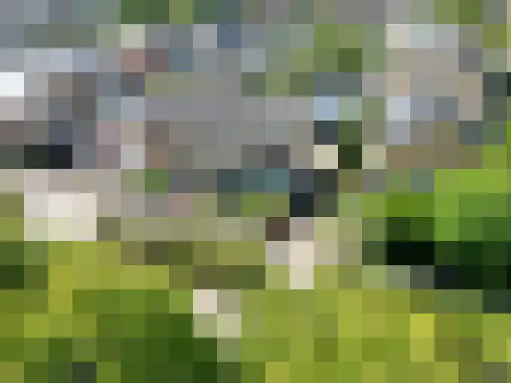 Cort van der Lindenstraat 5 Assen thumbnail 60