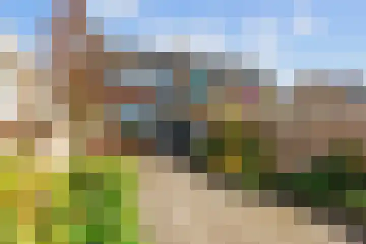 Cort van der Lindenstraat 5 Assen thumbnail 7