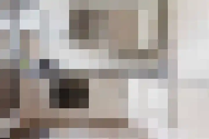 Cort van der Lindenstraat 6 Apeldoorn thumbnail 11