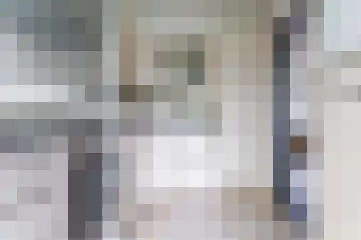 Cort van der Lindenstraat 6 Apeldoorn thumbnail 12