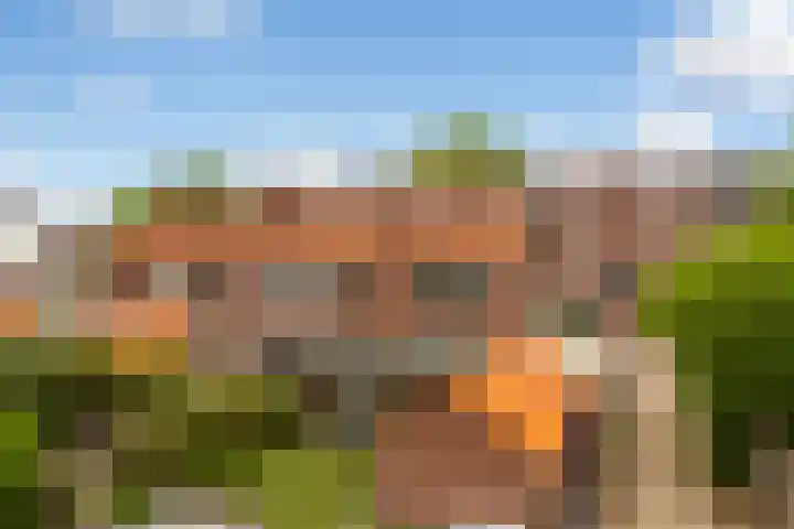 Cort van der Lindenstraat 6 Apeldoorn thumbnail 13