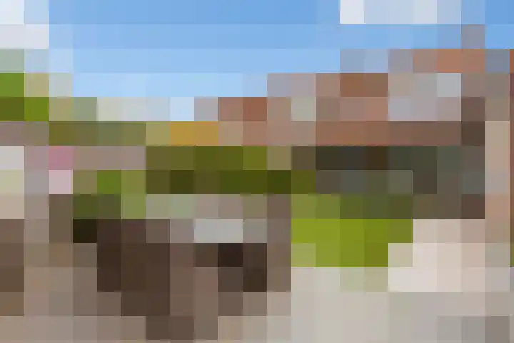 Cort van der Lindenstraat 6 Apeldoorn thumbnail 16