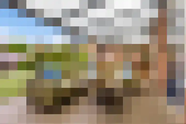 Cort van der Lindenstraat 6 Apeldoorn thumbnail 19