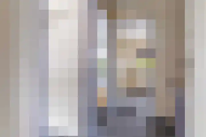 Cort van der Lindenstraat 6 Apeldoorn thumbnail 20