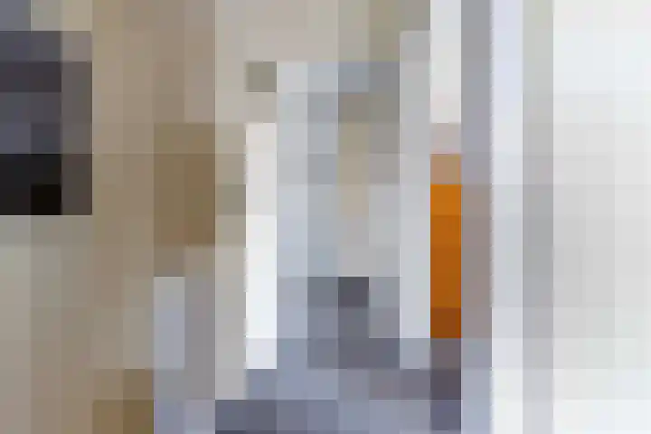 Cort van der Lindenstraat 6 Apeldoorn thumbnail 21