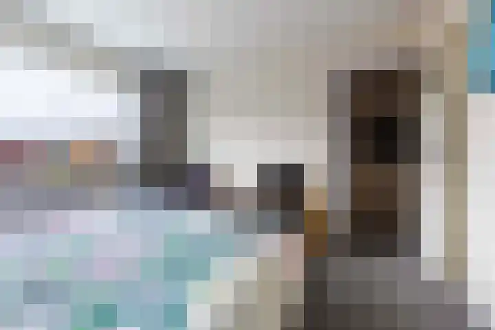 Cort van der Lindenstraat 6 Apeldoorn thumbnail 27