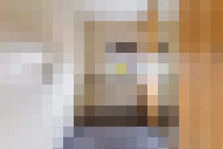 Cort van der Lindenstraat 6 Apeldoorn thumbnail 28