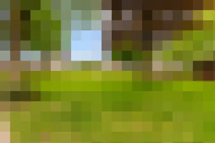 Cort van der Lindenstraat 6 Apeldoorn thumbnail 31