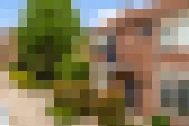 Cort van der Lindenstraat 6 Apeldoorn thumbnail 37