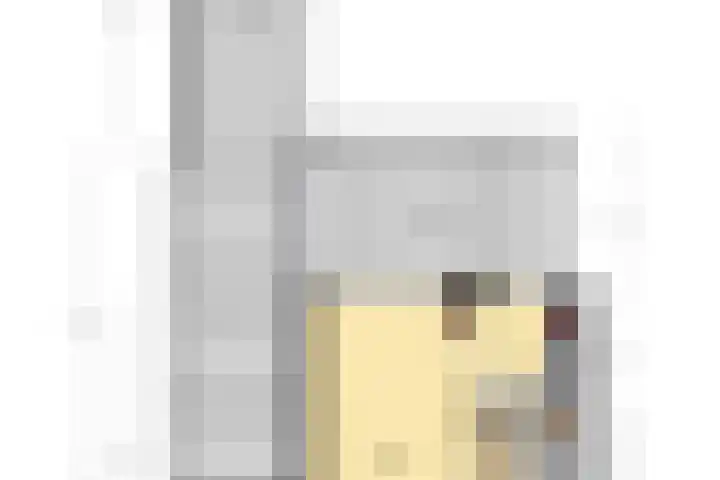 Cort van der Lindenstraat 6 Apeldoorn thumbnail 40