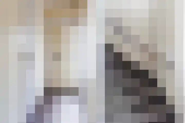 Cort van der Lindenstraat 6 Apeldoorn thumbnail 5