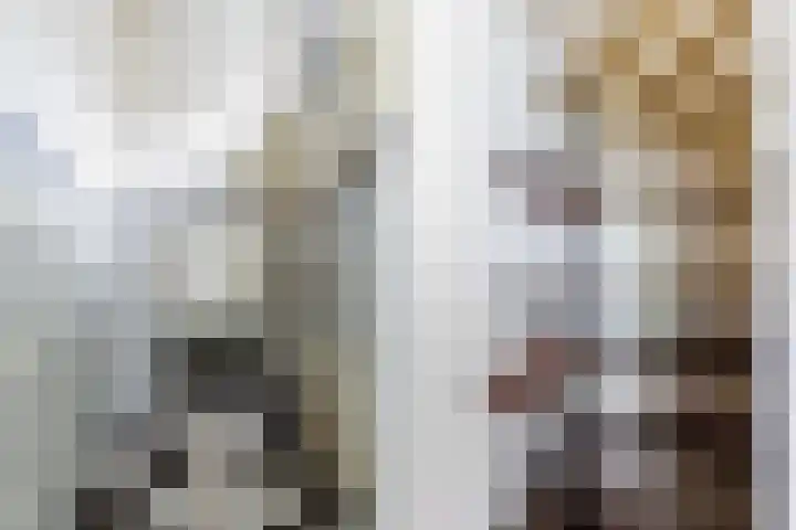Cort van der Lindenstraat 6 Apeldoorn thumbnail 7
