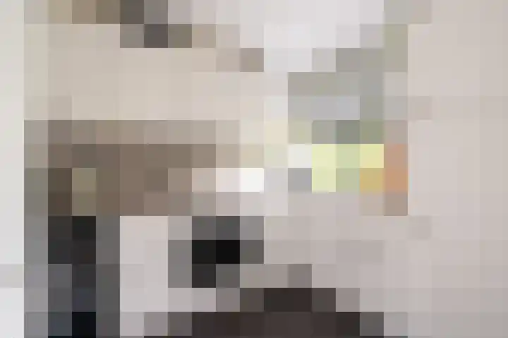 Cort van der Lindenstraat 62 Apeldoorn thumbnail 11