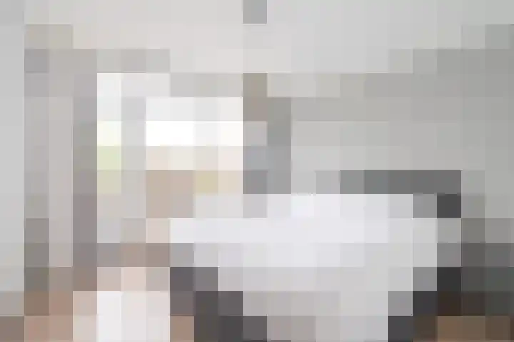 Cort van der Lindenstraat 62 Apeldoorn thumbnail 13