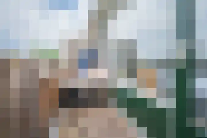 Cort van der Lindenstraat 62 Apeldoorn thumbnail 14