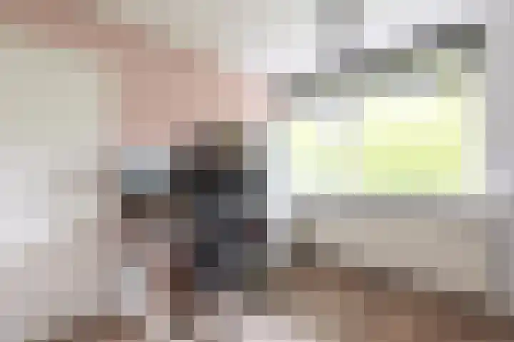 Cort van der Lindenstraat 62 Apeldoorn thumbnail 16