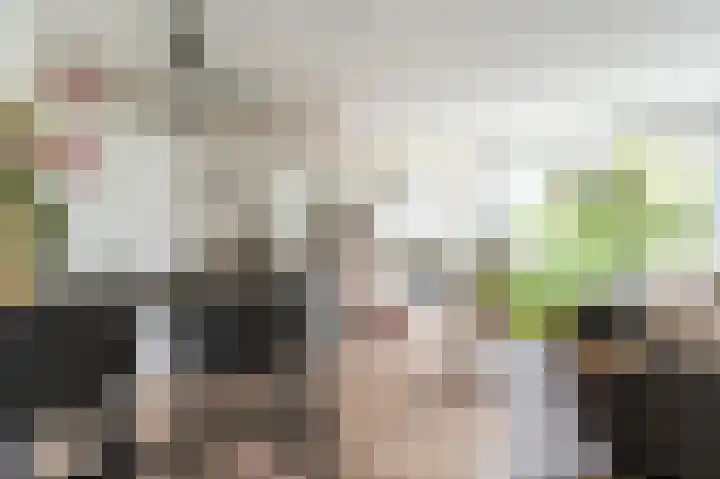 Cort van der Lindenstraat 62 Apeldoorn thumbnail 5