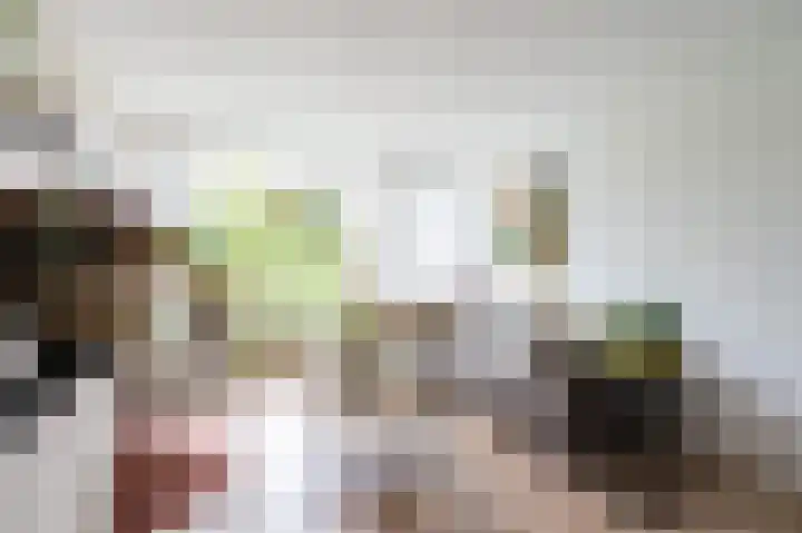 Cort van der Lindenstraat 62 Apeldoorn thumbnail 6