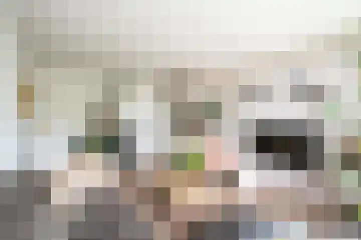 Cort van der Lindenstraat 62 Apeldoorn thumbnail 8