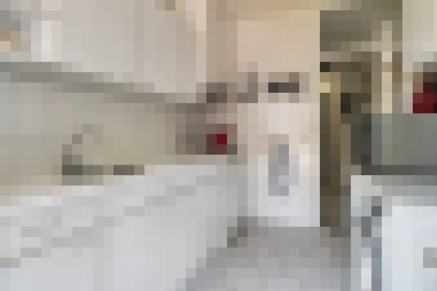 Cort van der Lindenstraat 9 Goes thumbnail 14