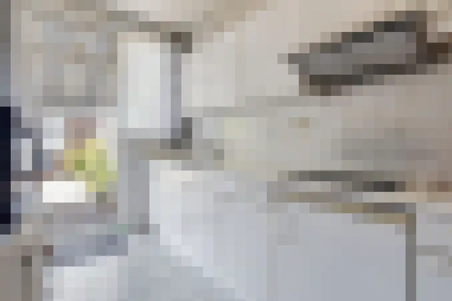 Cort van der Lindenstraat 9 Goes thumbnail 16