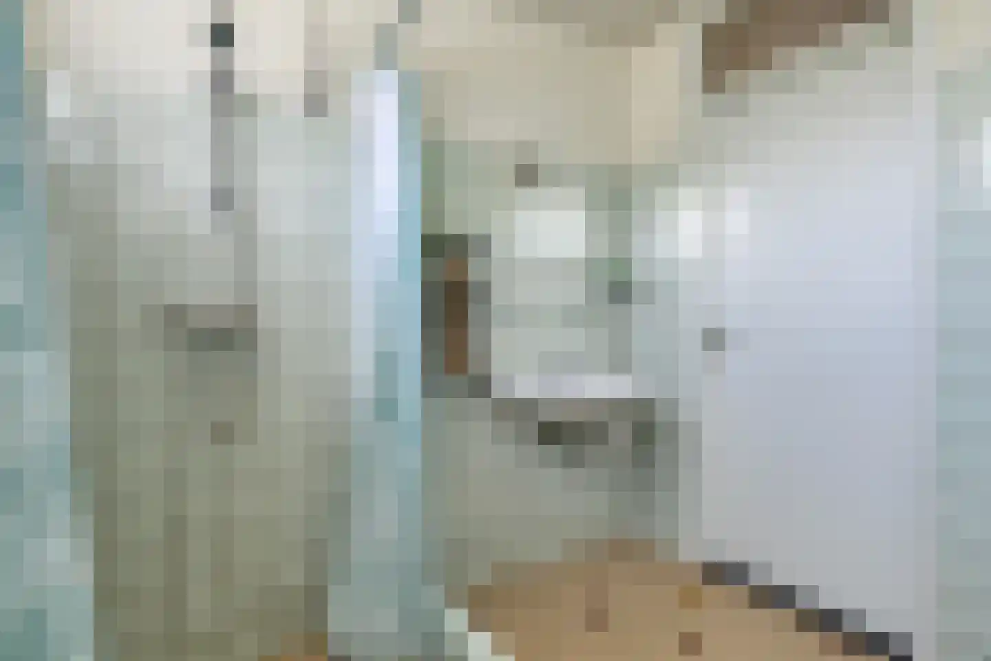 Cort van der Lindenstraat 9 Goes thumbnail 24