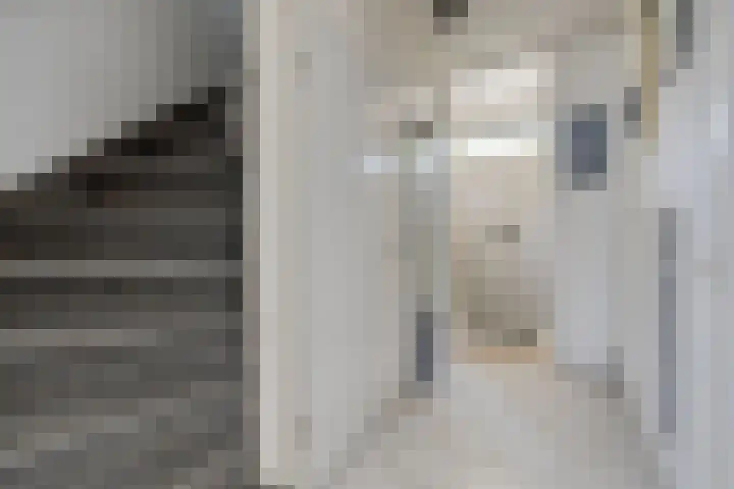 Cort van der Lindenstraat 9 Goes thumbnail 6