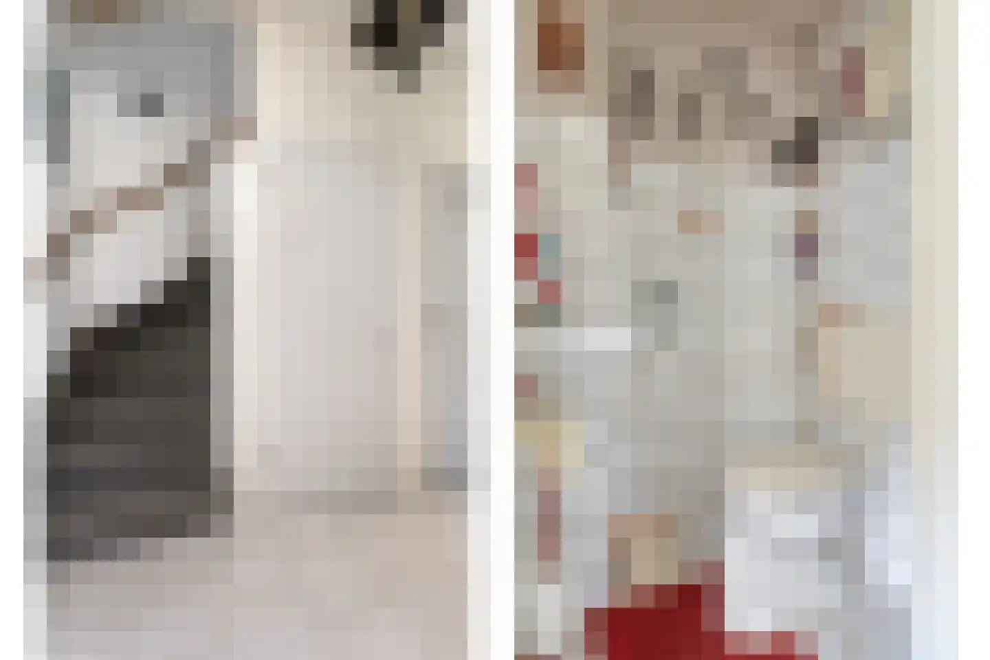 Cort van der Lindenstraat 9 Goes thumbnail 7