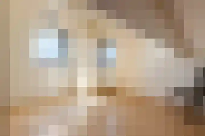 Cortbeemt 1 Ophemert thumbnail 20