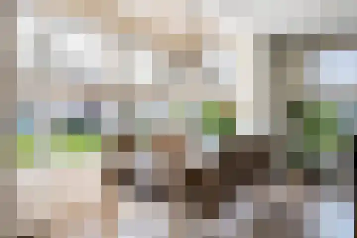 Cortbeemt 1 Ophemert thumbnail 7