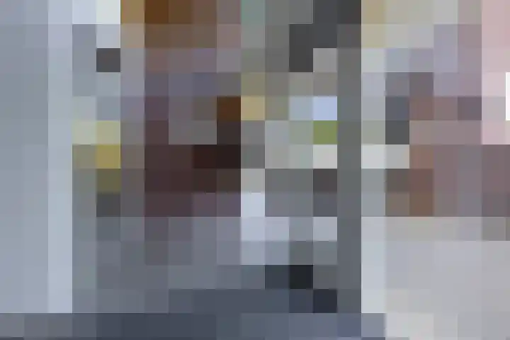 Cortembergstraat 112 Waalwijk thumbnail 7