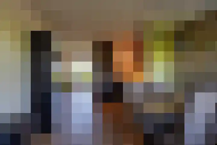 Cortembergstraat 123 Waalwijk thumbnail 21