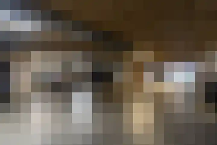 Cortembergstraat 123 Waalwijk thumbnail 31