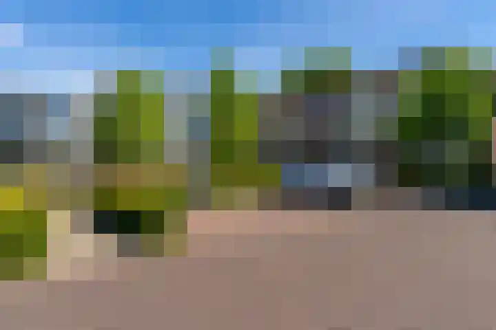 Cortembergstraat 123 Waalwijk thumbnail 5