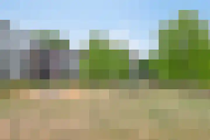 Cortembergstraat 139 Waalwijk thumbnail 30