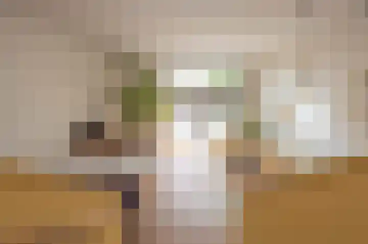 Cortembergstraat 85 Waalwijk thumbnail 5