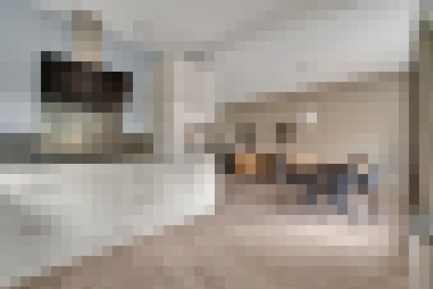 Cortenaerstraat 18 Ommen thumbnail 9