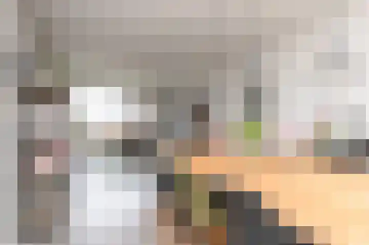 Cortenaerstraat 30 Papendrecht thumbnail 8
